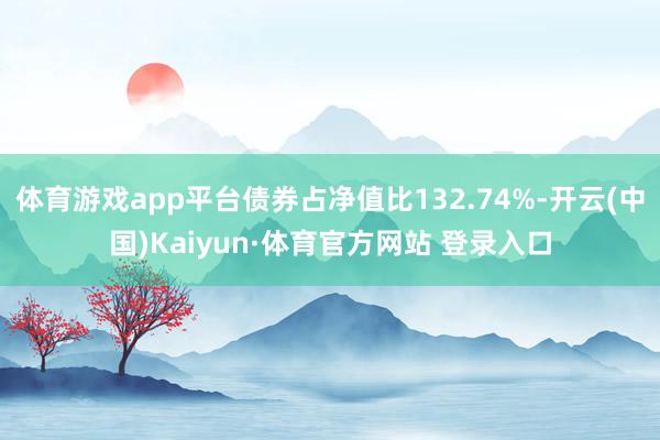 体育游戏app平台债券占净值比132.74%-开云(中国)Kaiyun·体育官方网站 登录入口