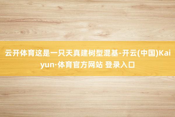 云开体育这是一只天真建树型混基-开云(中国)Kaiyun·体育官方网站 登录入口