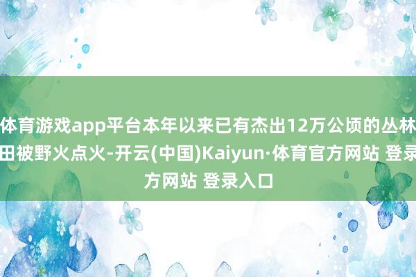 体育游戏app平台本年以来已有杰出12万公顷的丛林和农田被野火点火-开云(中国)Kaiyun·体育官方网站 登录入口